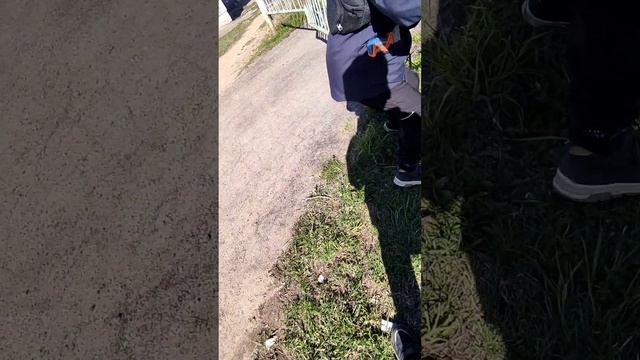 СЛЕЖКА смотреть онлайн