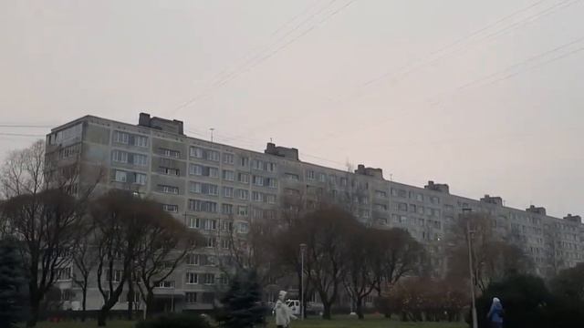 Автобус 116 