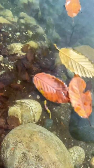 Голубые озера в Кабардино-Балкарии смотреть онлайн