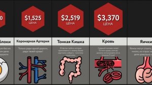 Сравнение Цен: Человеческие Органы