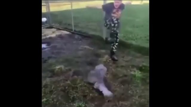 ПРИКОЛЫ 2020 ЛУЧШИЕ #23 смотреть онлайн