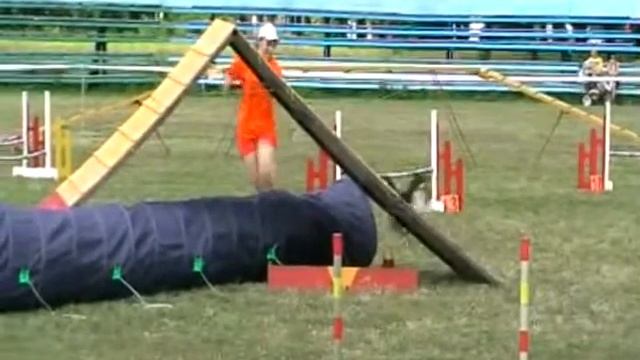 Гога Лариса и шелти Tiffany Lovelly Funny