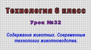 Технология 6 класс (Урок№32 - Содержание животных. Современные технологии животноводства.)