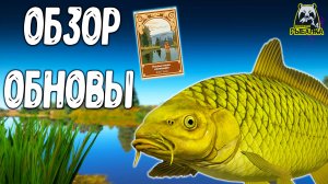 RF4 НОВЫЕ КАТУШКИ, УДИЛИЩЕ, РЫБКИ, СИСТЕМА КАРТОЧЕК, НАМЁК НА БУДУЩЕЕ #рр4