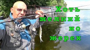 Рыбалка в ЗАПРЕТ на даче. Рыба поклевывает.