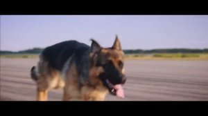 Клип к фильму «Пальма»