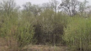 Прибытие в Казань. Из окна поезда.