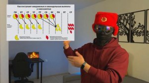 Отзыв о работе курьером в Яндекс Еде | Странные выплат?