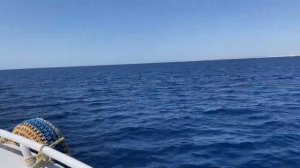 Экскурсия в Египте на яхте заповедник Рас-Мохамед 23.05.2025 новое 2