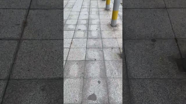 Турция,Стамбул,работа,внж,жильё