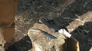 Нож HOURGLASS Petrified Fish. Уличный тест