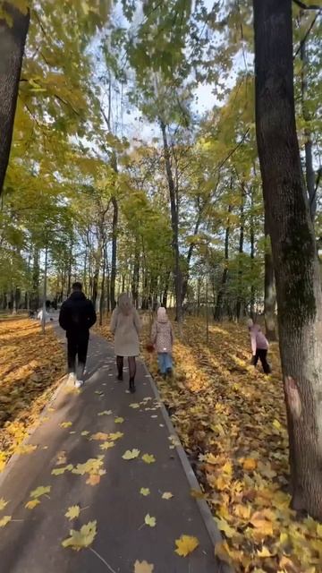 Усадьба Покровское Стрешнево в Москве смотреть онлайн