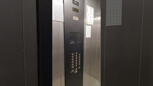 Подрабатываю в Dostavista город Новосибирск присоединяйте