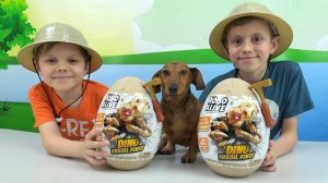 Динозавры игрушки Dino Fossil Find от ROBO ALIVE