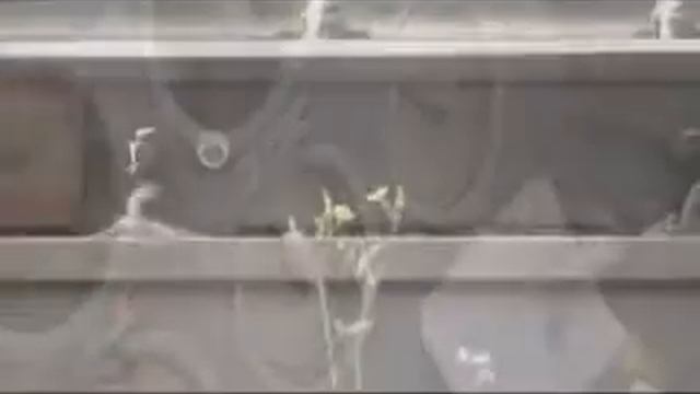 Ерал-Симская КРУШЕНИЕ