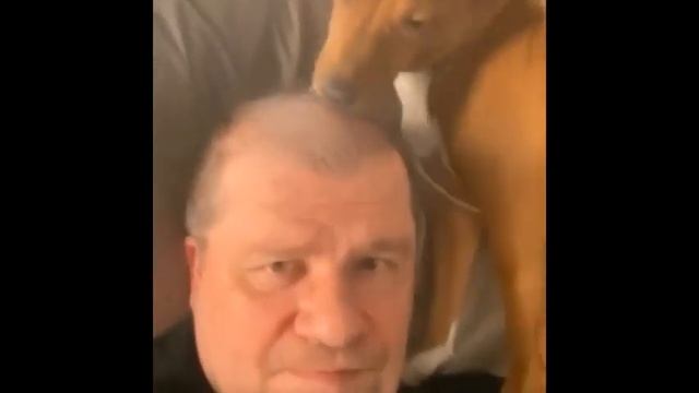 Гарик Харламов - Макаров и пёс. Всё под контролем.