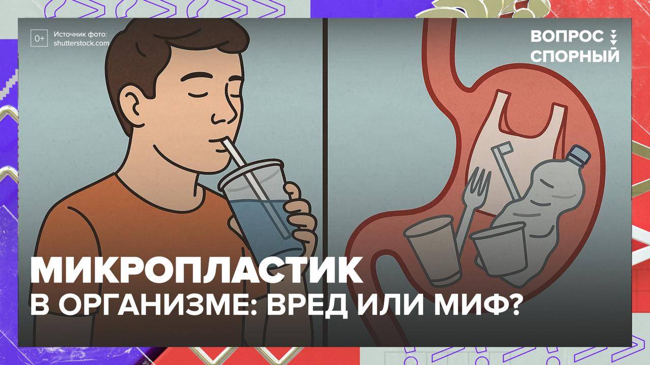 Микропластик обнаружили в мозге человека|Вопрос спорный — Москва 24|Контент смотреть онлайн