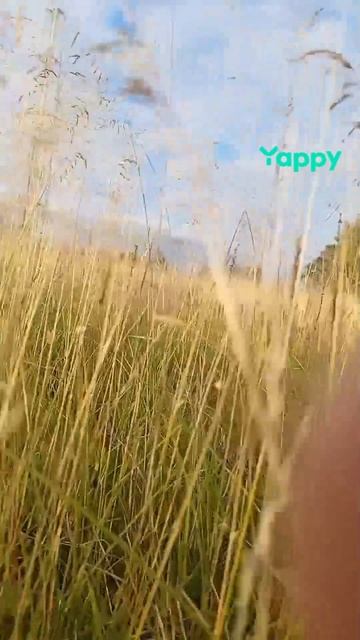 ПРИРОДА ДАЕТ СИЛЫ смотреть онлайн