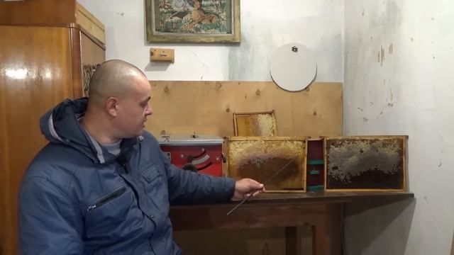 Что делать клуб сел сзади? Почему пчёлы не правильно с? смотреть онлайн