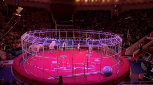 Жираф Шоу 2 Акт в Ярославском цирке 2023