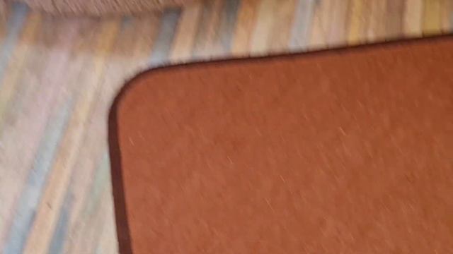 для резервирования щенки чихуахуа ркф дом Кастропуло смотреть онлайн