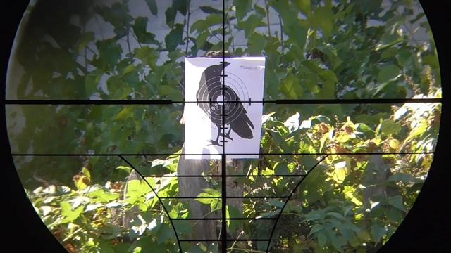 ТОЗ 8-01 с ПСЗВ смотреть онлайн