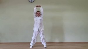 Тайцзи Цзин 1