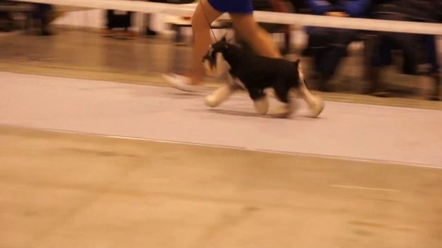 Моно 61 смотреть онлайн