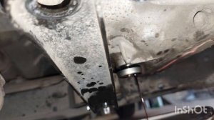 ssangyong Korando c300 замена масла в коробке, tf-82 sc. двиг d16dtf. https: