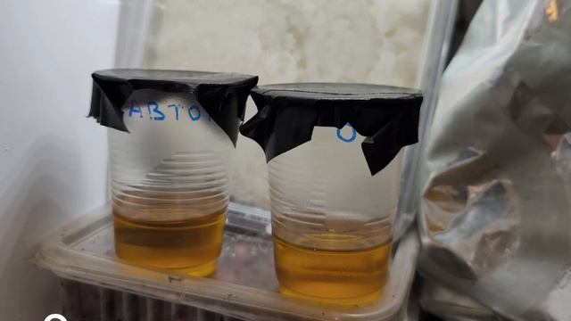 Проверка моторного масла ZEPRO SN 5W-30 купленное на ОЗОНе и