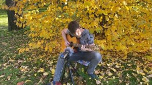 Вальс-Бостон | Александр Розенбаум | Fingerstyle guitar cover