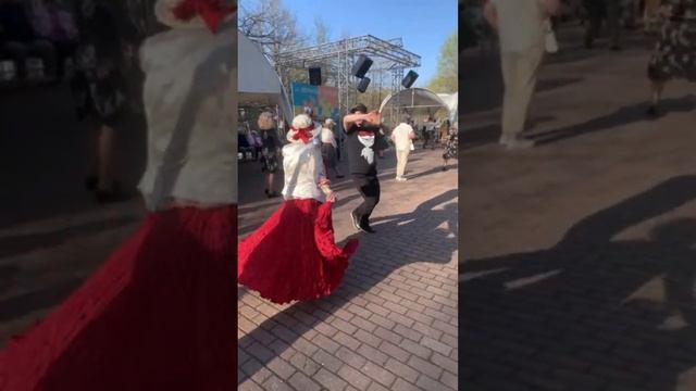 Gala♥️ в прямом эфире!