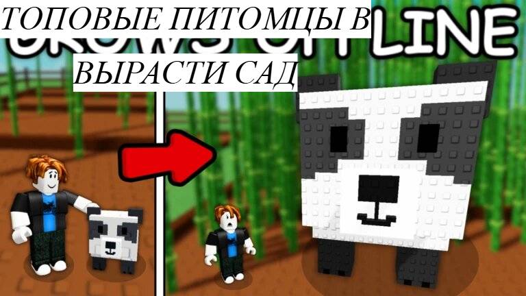 Самый топовый питомец в ВЫРАСТИ САД РОБЛОКС! / Roblox Роблокс