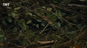 Воскрешение Эртугрул Сезон 5 Серия 27 @TRTDrama_Ru