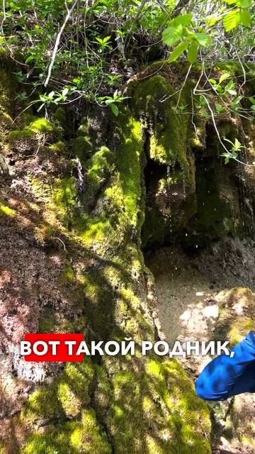 Шикарный родник в горах #shibargan #горы смотреть онлайн