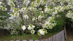 ВЕСЕННЕЕ НАСТРОЕНИЕ- ЛОВИ МОМЕНТ!