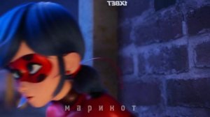 Тайпан, NAZAMI - Мама говорила | клип | Леди Баг и Супер Кот