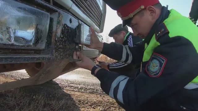 Штраф за ксенон и светодиодные лампы в 2025 - в какие фары можно ставить светодиодные лампы смотреть онлайн