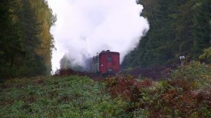 Паровоз Гр-319 с поездом / Steam locomotive Gr-319 with a train