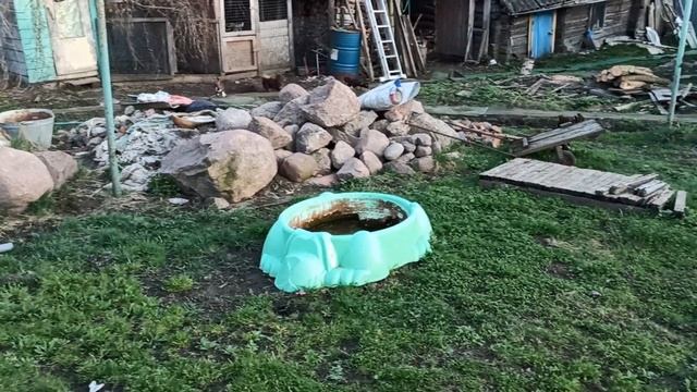 Светлой Пасхи! 20/04/25 Провожаем Нафаню в новый дом! #купи