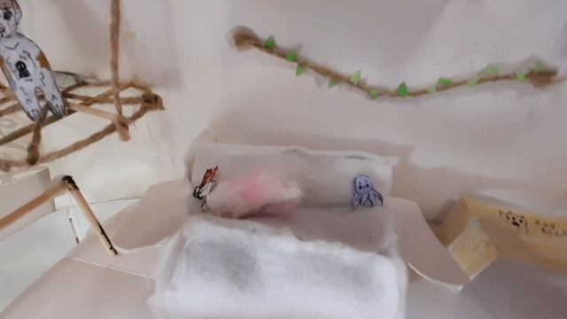 Room Tour Бумажные собаки 🐶 НОВЫЙ дом + Собака