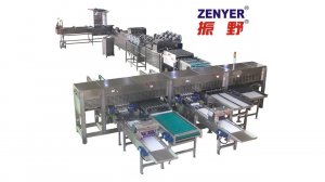 Zenyer 303A Egg Processing Line with Cleaning, Grading & Auto-packer (20,000 EGGS/HOUR)
