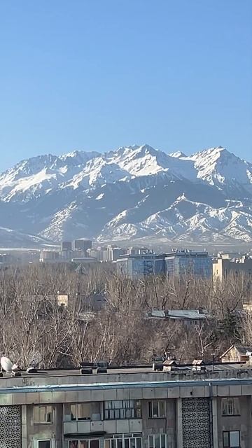 Алма-Ата весной прекрасна смотреть онлайн