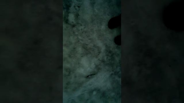 Издивателства над магазин казанова смотреть онлайн