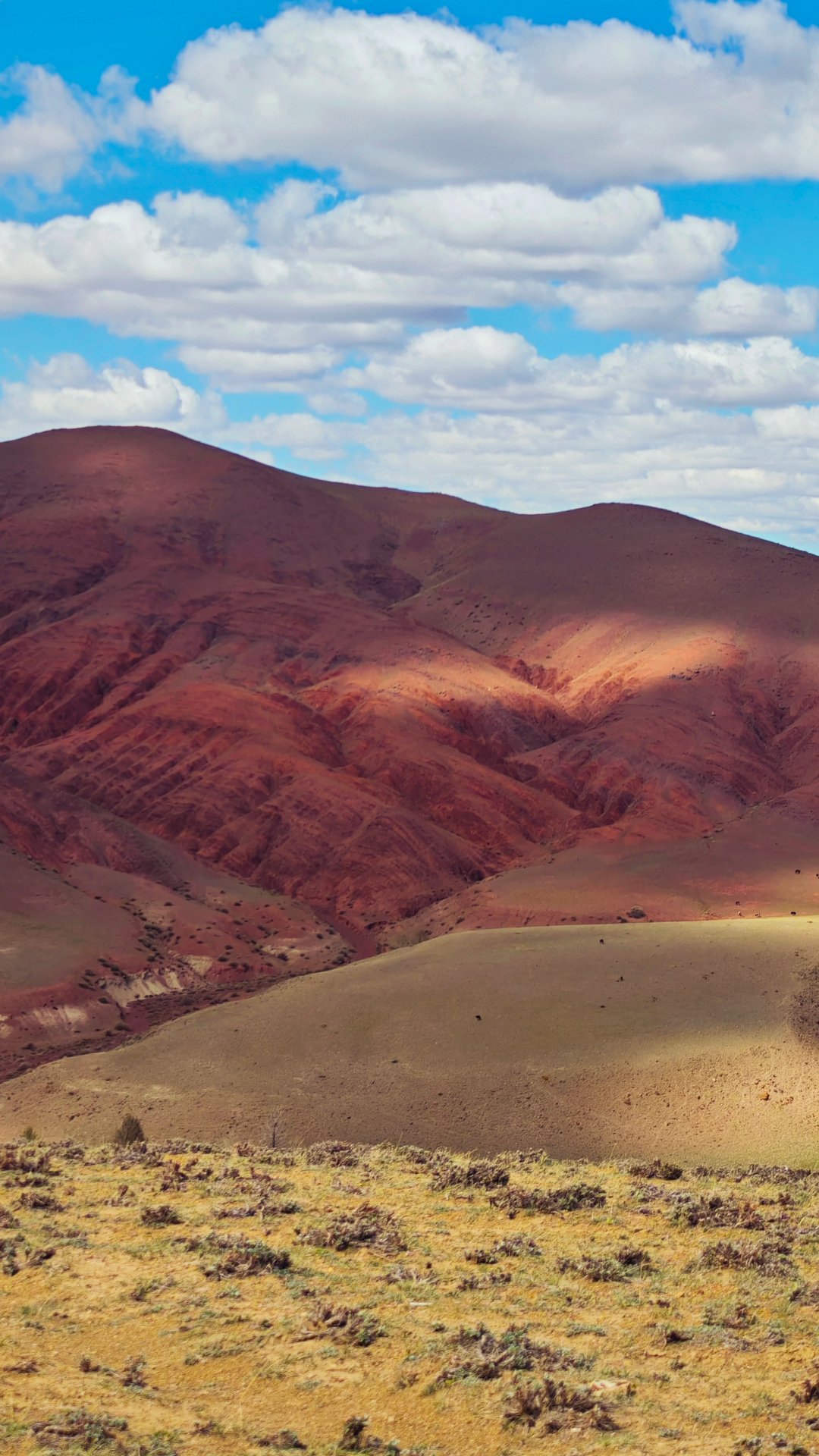 Алтай, марс