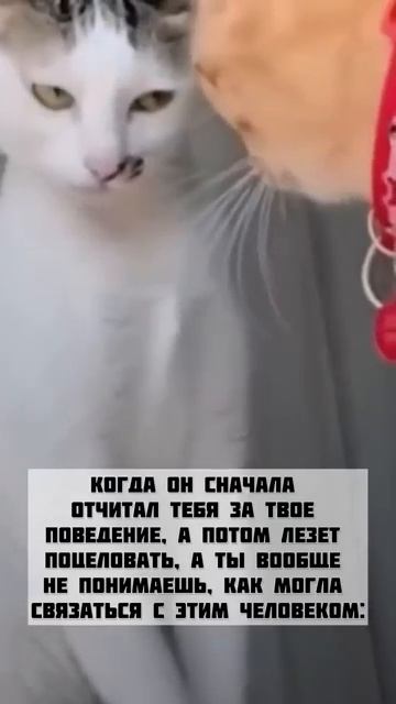 #мужижена #любовь смотреть онлайн