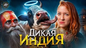 Индия. 10 стыдных вопросов. История с Artifex