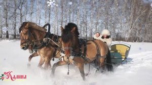 КАК ЗАДОРНО ПОЮТ! Самарская зима... | Ансамбль КАЛИНА. Russian folk songs.