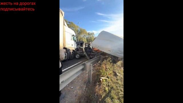 20.09.2024г - «Тела разорвало о прицеп». Двое рабочих 