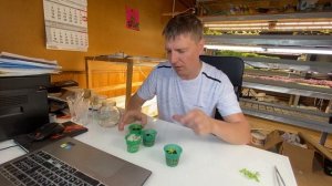 Учимся выращивать салаты дома. Часть 1